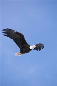 Flight of the Bald Eagle Journal