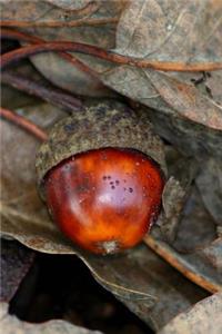 A Rich Brown Acorn and Dried Autumn Leaves Journal