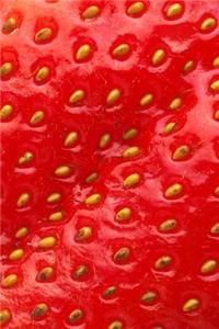 Food Journal Delicious Strawberry Up Close Weight Loss Diet Blank Recipe Book