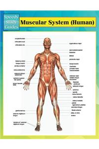 Muscular System (Human) (Speedy Study Guides)