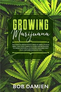 Growing Marijuana