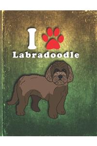 Labradoodle