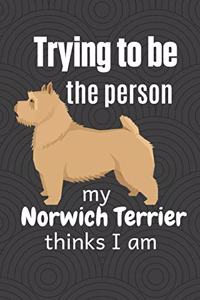 Trying to be the person my Norwich Terrier thinks I am: For Norwich Terrier Dog Fans