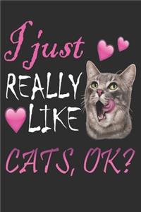 I Just Really Like Cats Ok Notebook Cute Animal Funny Cats Gift Daughter Notebook/Journal 6x9 100 Pages
