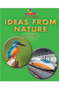 Ideas from Nature