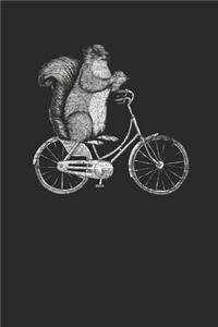 Squirrel In Bicycle