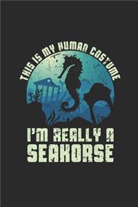 I'm Really A Seahorse