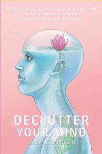 Declutter Your Mind: Life-Enhancing and Stress Management Techniques for Increased Energy, Clarity, Focus and Joy