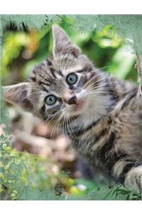 Cute Tabby Cat Composition Notebook, College Ruled