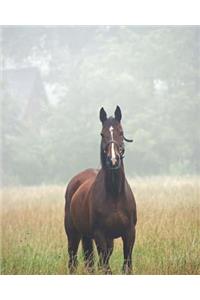 2019 Weekly Horse Planner Notebook