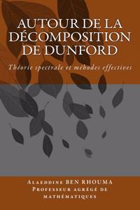 Autour de la décomposition de Dunford