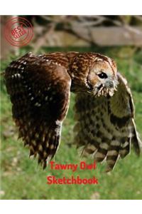Tawny Owl Sketchbook