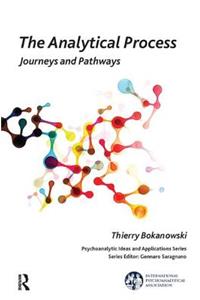 The Analytical Process