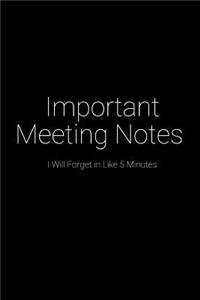 Important Meeting Notes I Will Forget in Like 5 Minutes