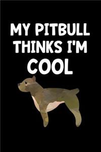 My Pit Bull Thinks I'm Cool