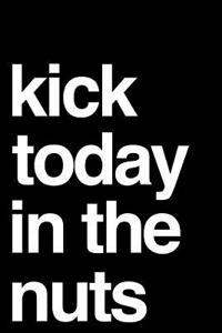 Kick Today in the Nuts