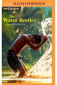 Water Beetles