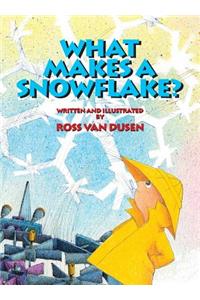 What Makes a Snowflake?