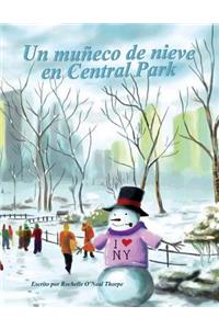 Un muneco de nieve en Central Park