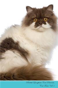 British Longhair Cat Presents