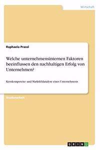 Welche unternehmensinternen Faktoren beeinflussen den nachhaltigen Erfolg von Unternehmen?