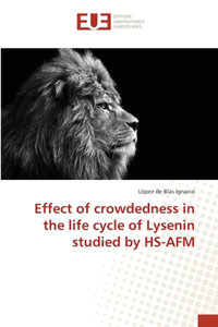 Effect of crowdedness in the life cycle of Lysenin studied by HS-AFM