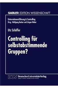 Controlling Für Selbstabstimmende Gruppen?