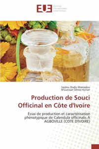 Production de Souci Officinal en Côte d'Ivoire