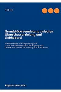 Grundstücksvermietung zwischen Überschusserzielung und Liebhaberei