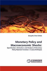Monetary Policy and Macroeconomic Shocks