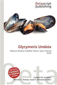 Glycymeris Undata