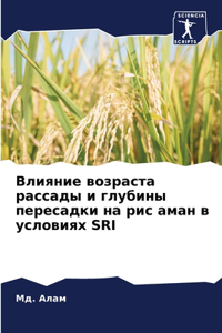 Влияние возраста рассады и глубины переса