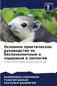 Основное практическое руководство по бес