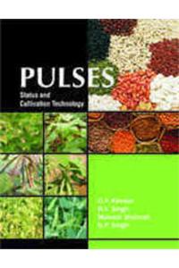 Analysis of Forest Project and Management