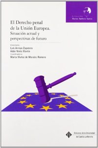 El derecho penal de la union europea. Situacion actual y perspectivas de futuro