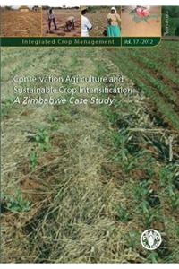 Conservation Agriculture and Sustainable Crop Intensification: A Zimbabwe Case Study