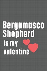 Bergamasco Shepherd is my valentine