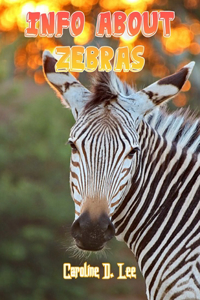 Info About Zebras