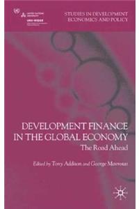 Development Finance in the Global Economy