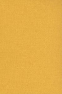 The Essential Santayana