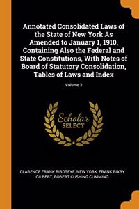 Annotated Consolidated Laws of the State of New York As Amended to January 1, 1910, Containing Also the Federal and State Constitutions, With Notes of