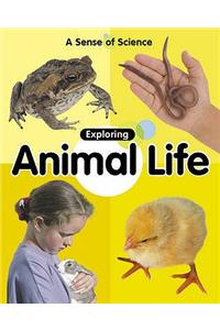 Exploring Animal Life