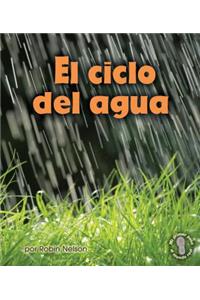 El Ciclo del Agua