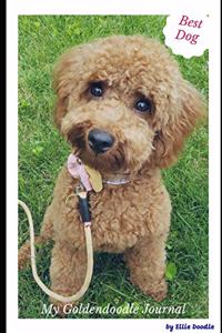 My Goldendoodle Journal