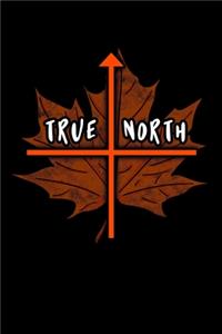 True North