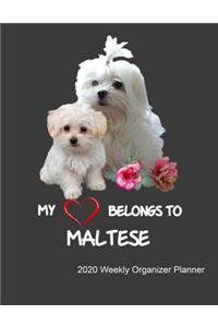 My Heart Belongs To Maltese 2020 Weekly Organizer Planner