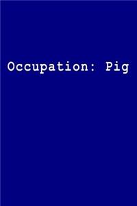 Occupation