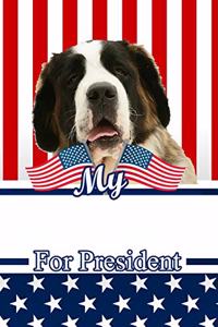 My Saint Bernard for President