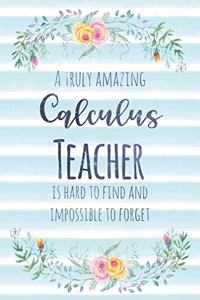 A Truly Amazing Calculus Teacher Is Hard to Find and Impossible to Forget