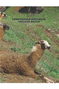 Composition Notebook College Ruled